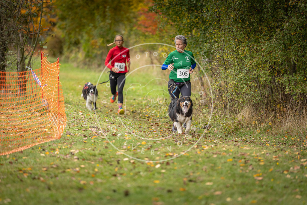 Pfotenfotografie_DV3A4117 | Hundefotografie, Tierfotograf, Pfotenfotografie, Fotoshooting Hund, Hunde Portrait, Hundesport, Hundeportraits, Heideshooting, Hunde, Sportfotograf, Hundefotograf, Turnierhundsport, THS,  - Realisiert mit Pictrs.com