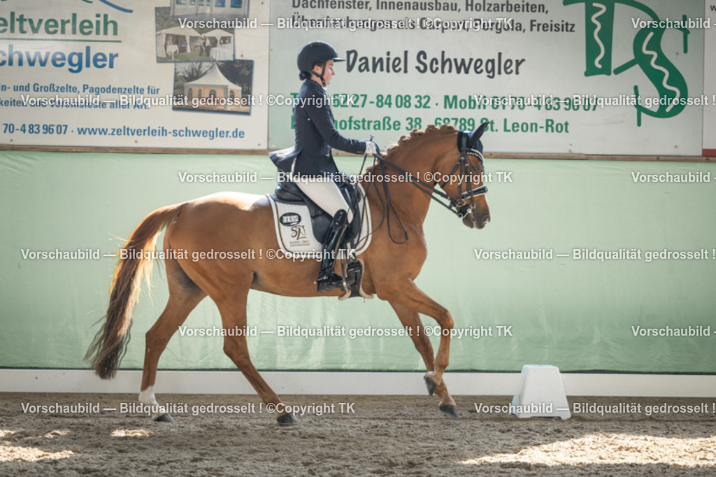 _D5A2584 | Emotionale Pferde- & People-Fotografie rund um Heidelberg, Leimen & Umgebung. Natürliche Fotos von Pferd, Mensch & Familie. Jetzt Termin sichern!