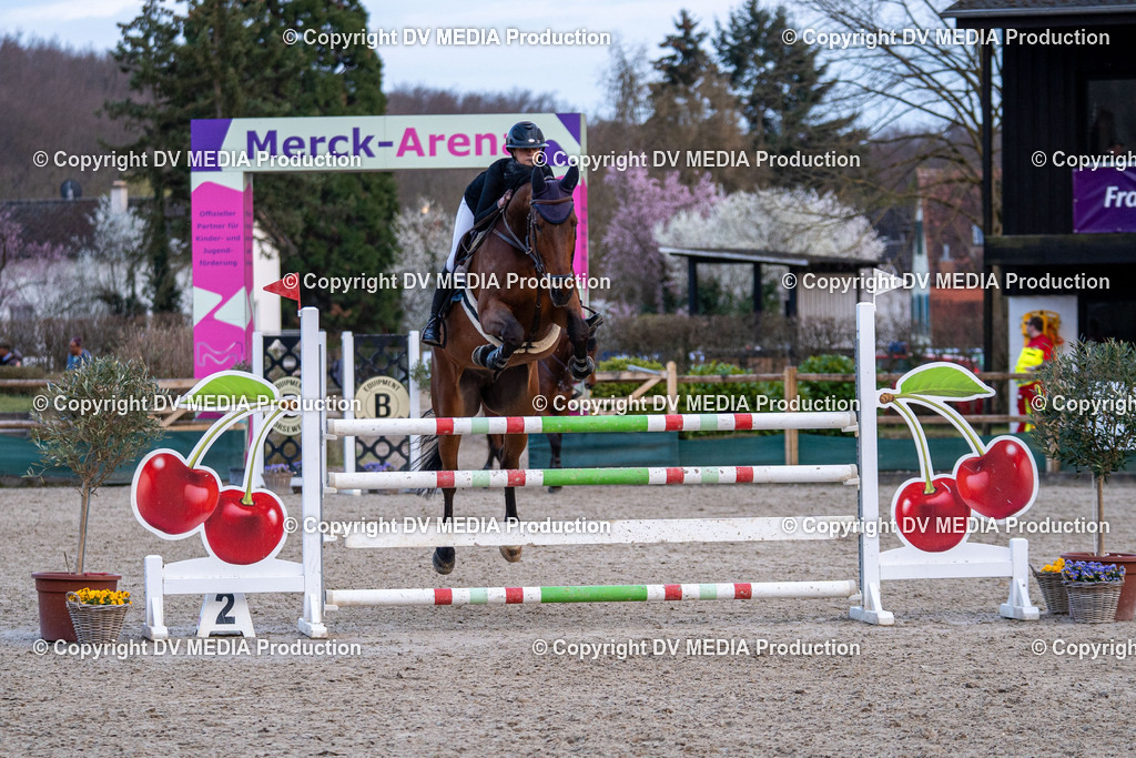 Kranichstein Tag 2-2336 | dv-media-shop - Realisiert mit Pictrs.com