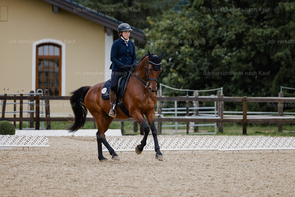 Nadine22_FHC2025-3 | working equitationturnier fotograf videograf stoibphotography marixx film working equitation deutschland reitsport turnierfotografie eventfotografie equestrian events