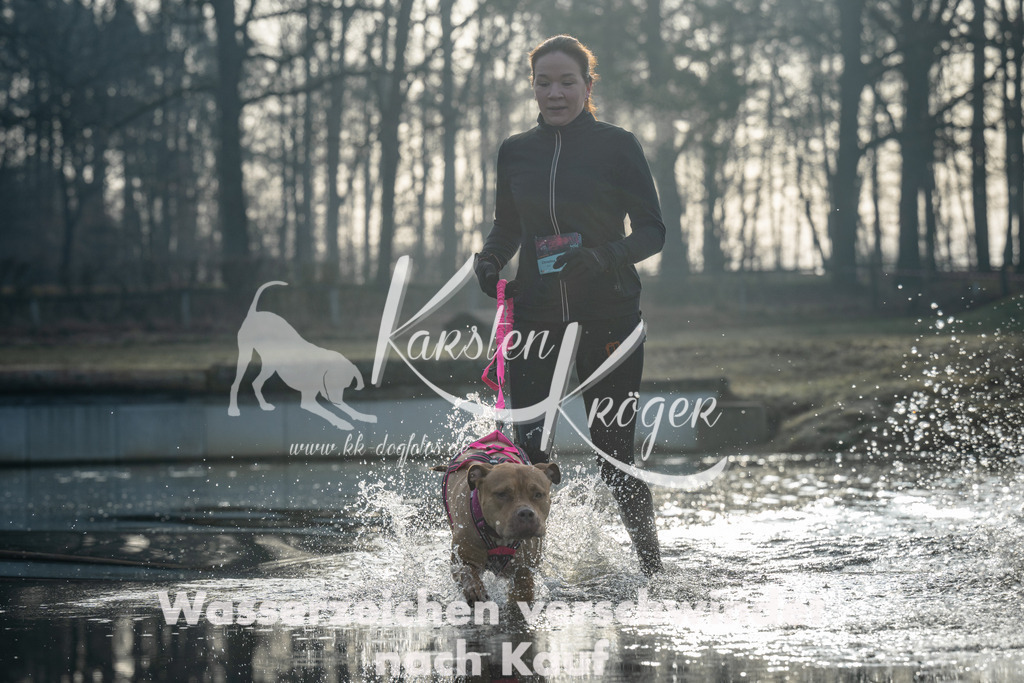 0832_ZZ97307 | kk-dogfotos
