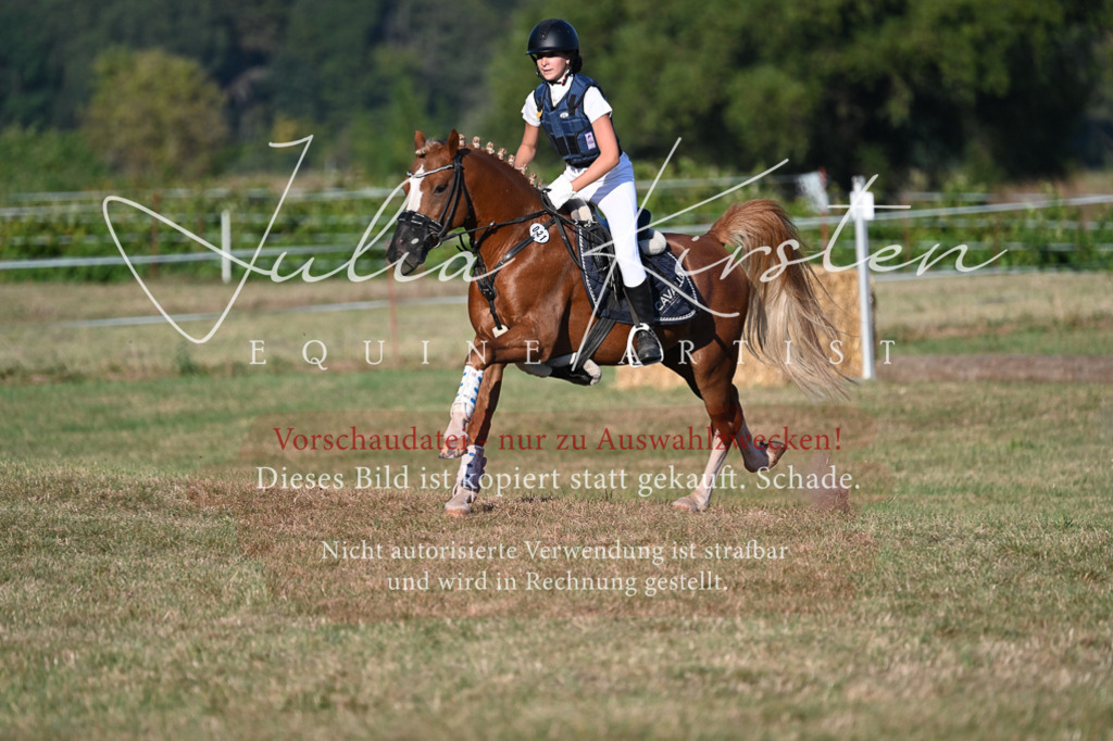 DSC_9084 | Pferde- und Turnierfotografie in Westsachsen. Pferdeportraits, Auftragszeichnungen und intuitive Kunst.
