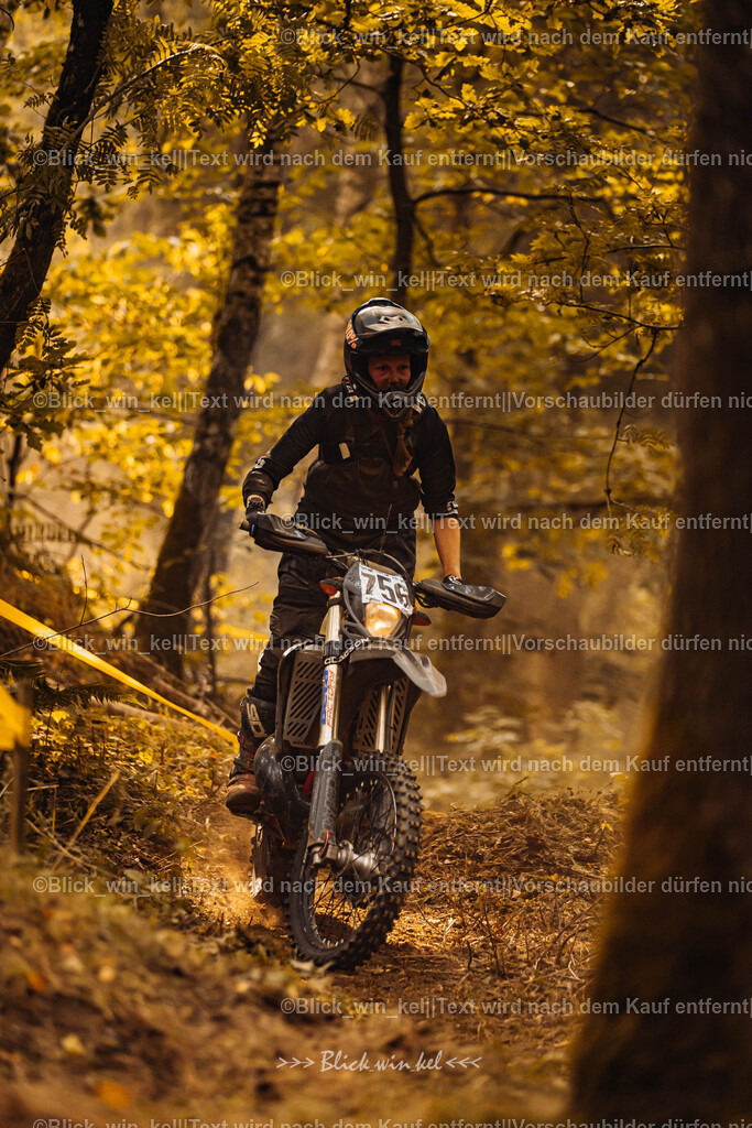 E68A3993 | blick_win_kel