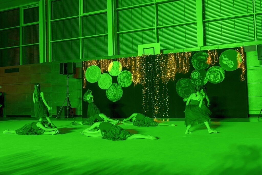 DSC05793 | Viel Spaß beim Anschauen und Herunterladen