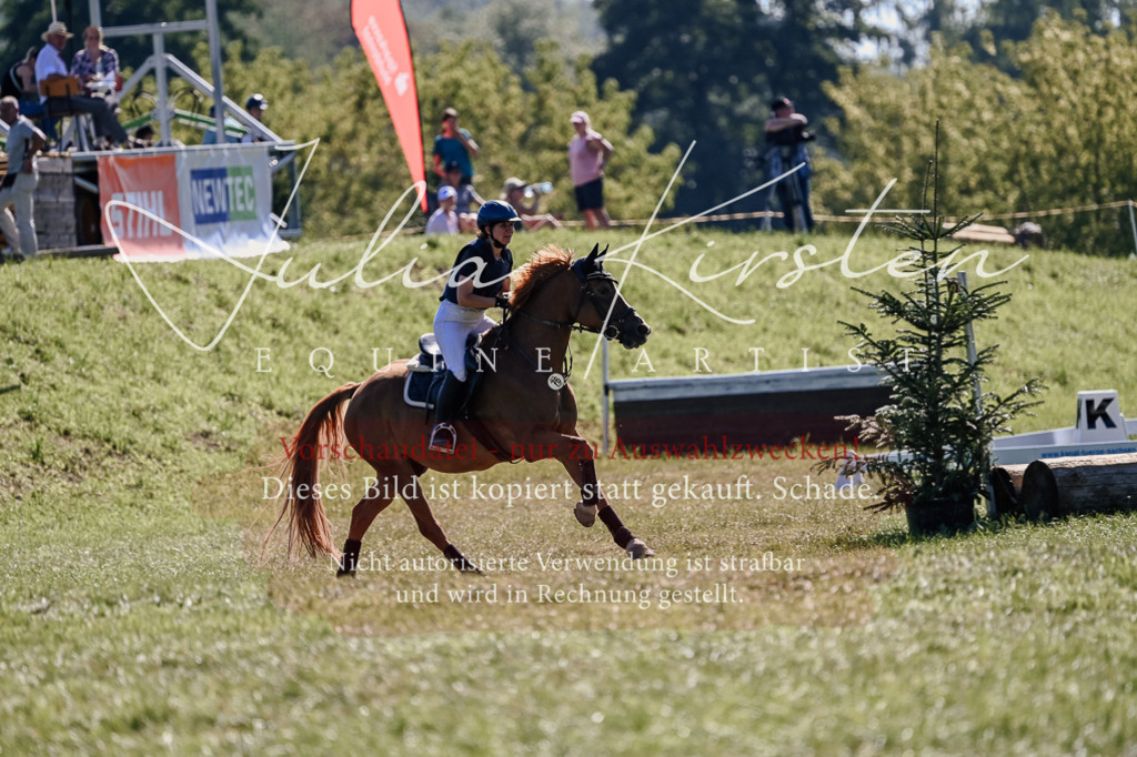 DSC_3048 | Pferde- und Turnierfotografie in Westsachsen. Pferdeportraits, Auftragszeichnungen und intuitive Kunst.