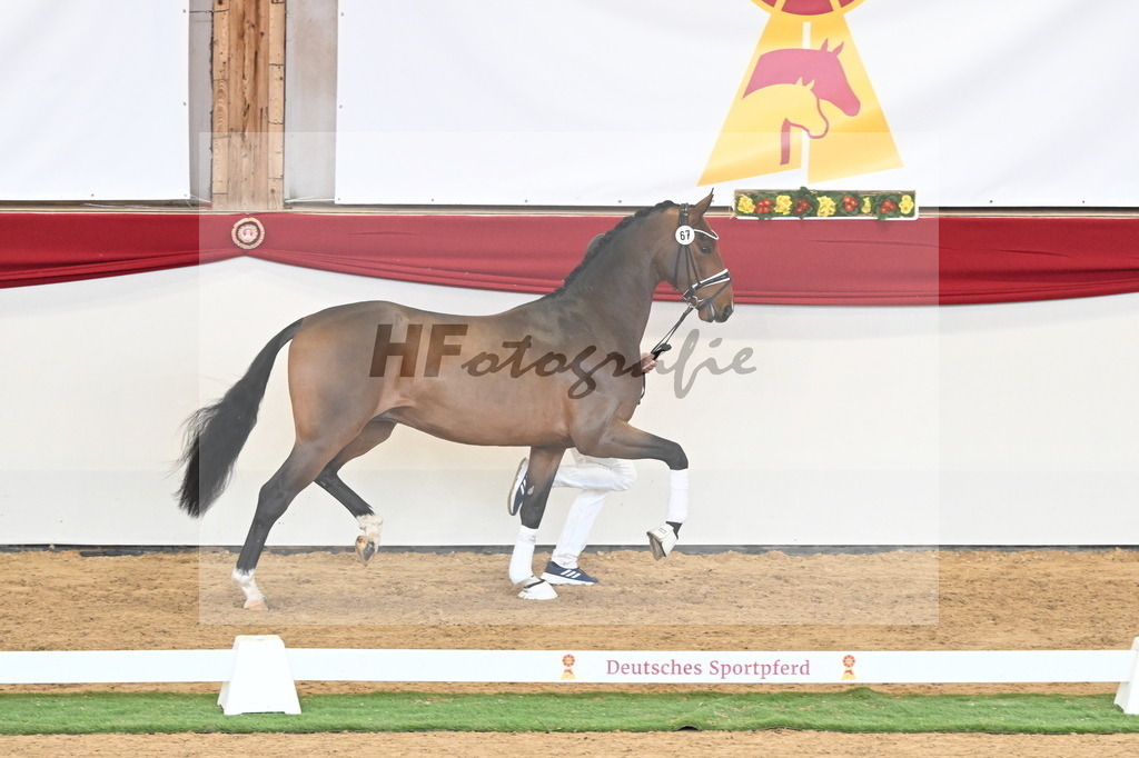 Kat.-Nr. 67 v. Fürstenball_Niehe_2250537 | hf-fotografie - Realisiert mit Pictrs.com