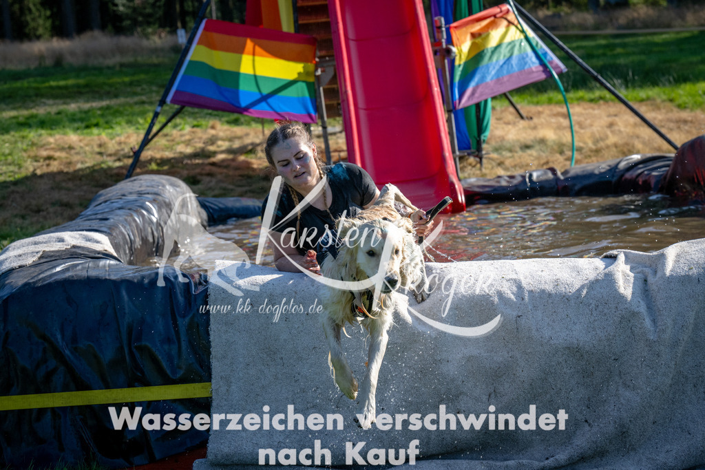 1656_ZZ92636 | kk-dogfotos