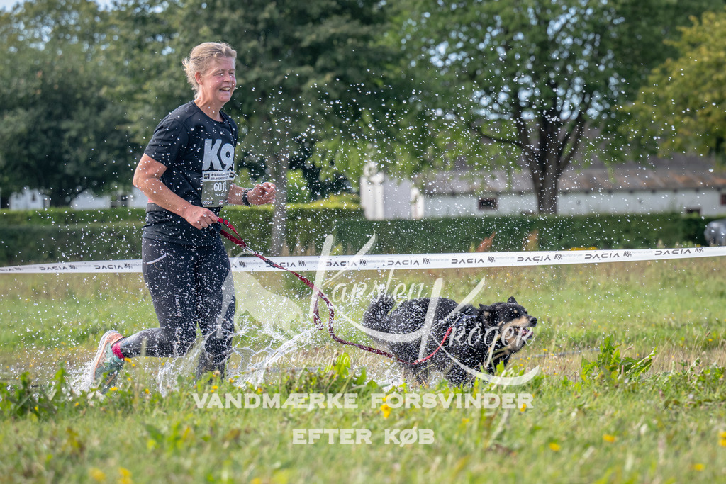 1151_ZZ90141 | kk-dogfotos