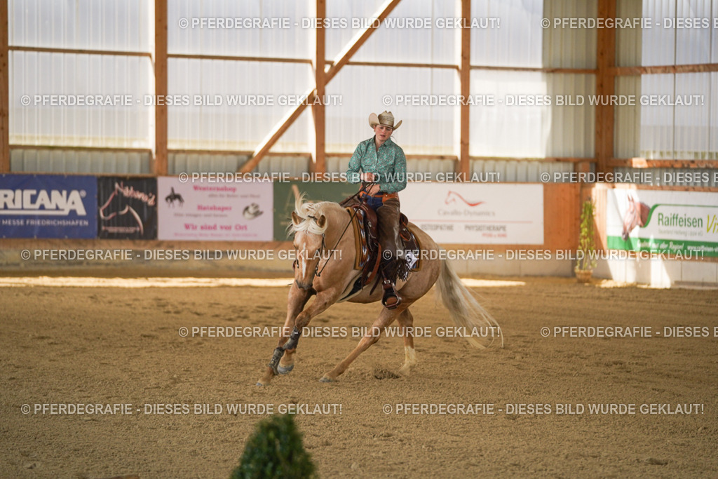 DSC07063 | Pferdegrafie