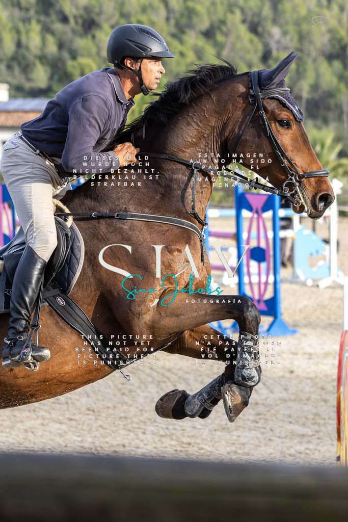 IMG_5019 | s-jay-photography - Realisiert mit Pictrs.com