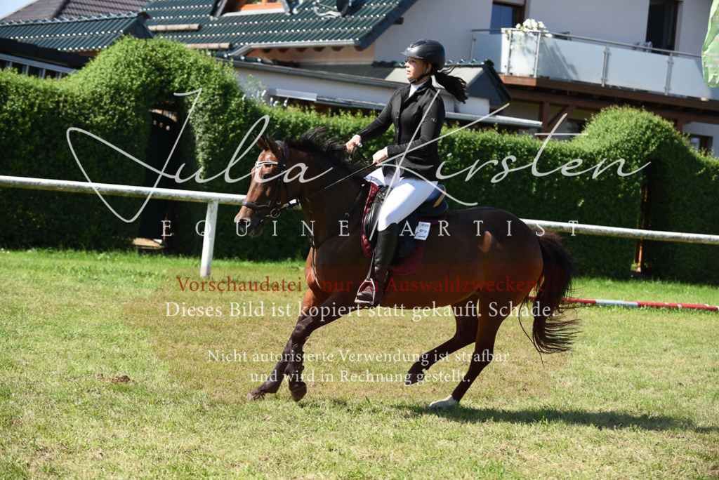 DSC_9258 | Pferde- und Turnierfotografie in Westsachsen. Pferdeportraits, Auftragszeichnungen und intuitive Kunst.