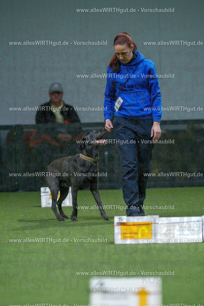 7R507005 | Professionelle Tierfotografie in Mönchengladbach von Daniel Wirth (allesWIRTHgut). Liebevolle & natürliche Bilder von Hunden & Katzen für unvergessliche Erinnerungen.