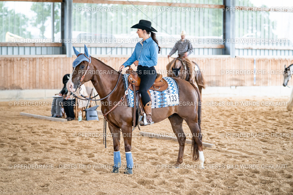 DSC08580 | Pferdegrafie