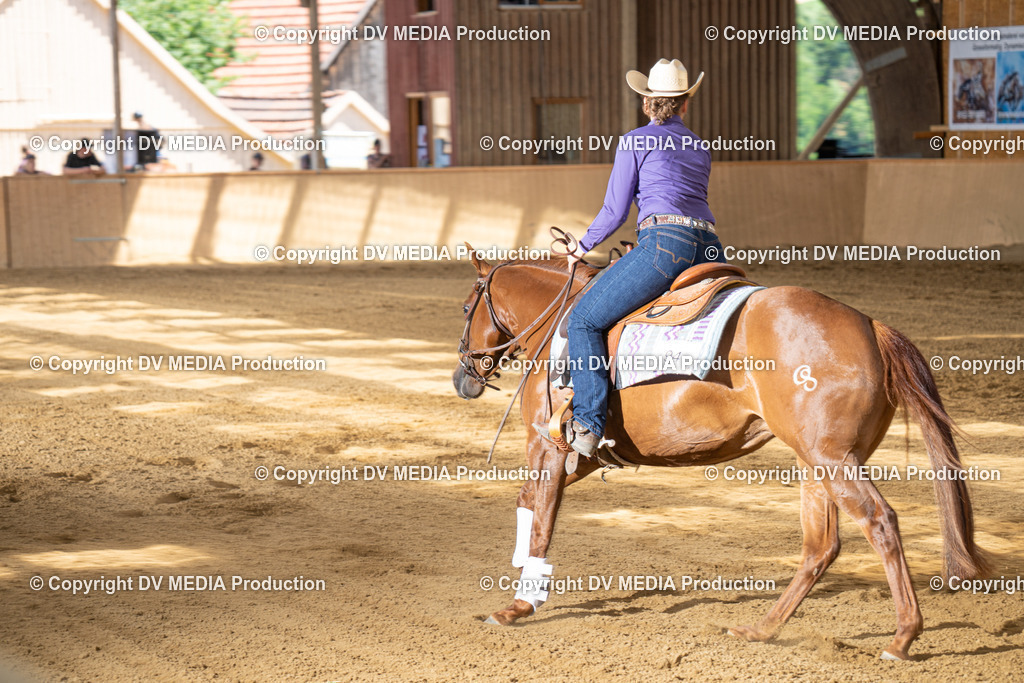 DSC00028 | dv-media-shop - Realisiert mit Pictrs.com