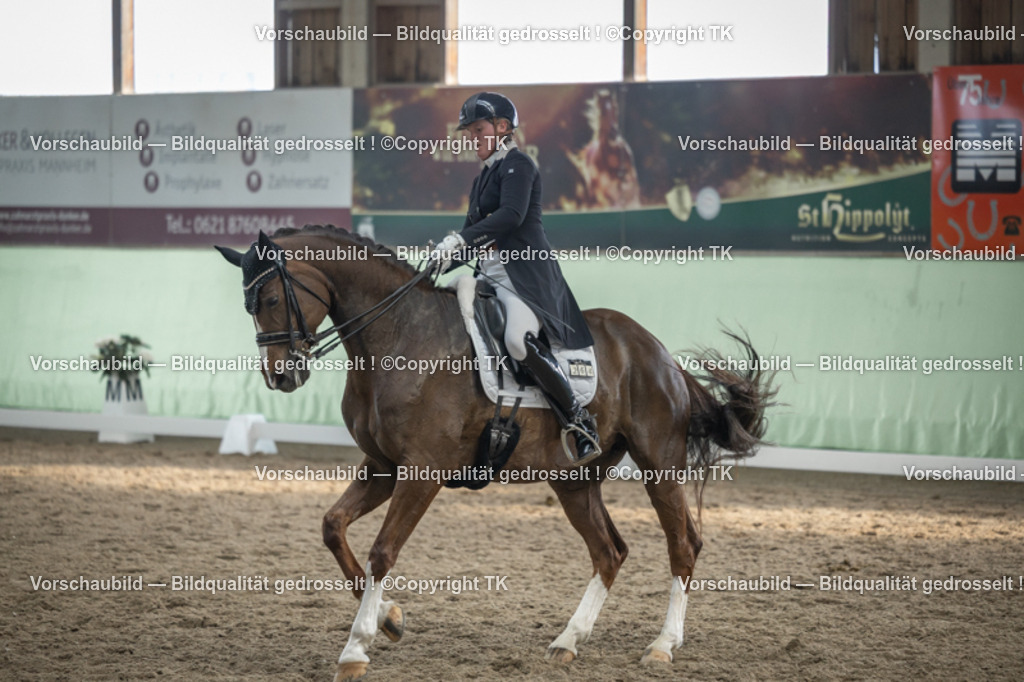 _D5A6654 | Emotionale Pferde- & People-Fotografie rund um Heidelberg, Leimen & Umgebung. Natürliche Fotos von Pferd, Mensch & Familie. Jetzt Termin sichern!