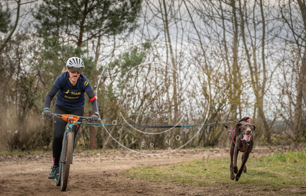 Pfotenfotografie_DV3A9678 | Hundefotografie, Tierfotograf, Pfotenfotografie, Fotoshooting Hund, Hunde Portrait, Hundesport, Hundeportraits, Heideshooting, Hunde, Sportfotograf, Hundefotograf, Turnierhundsport, THS,  - Realisiert mit Pictrs.com