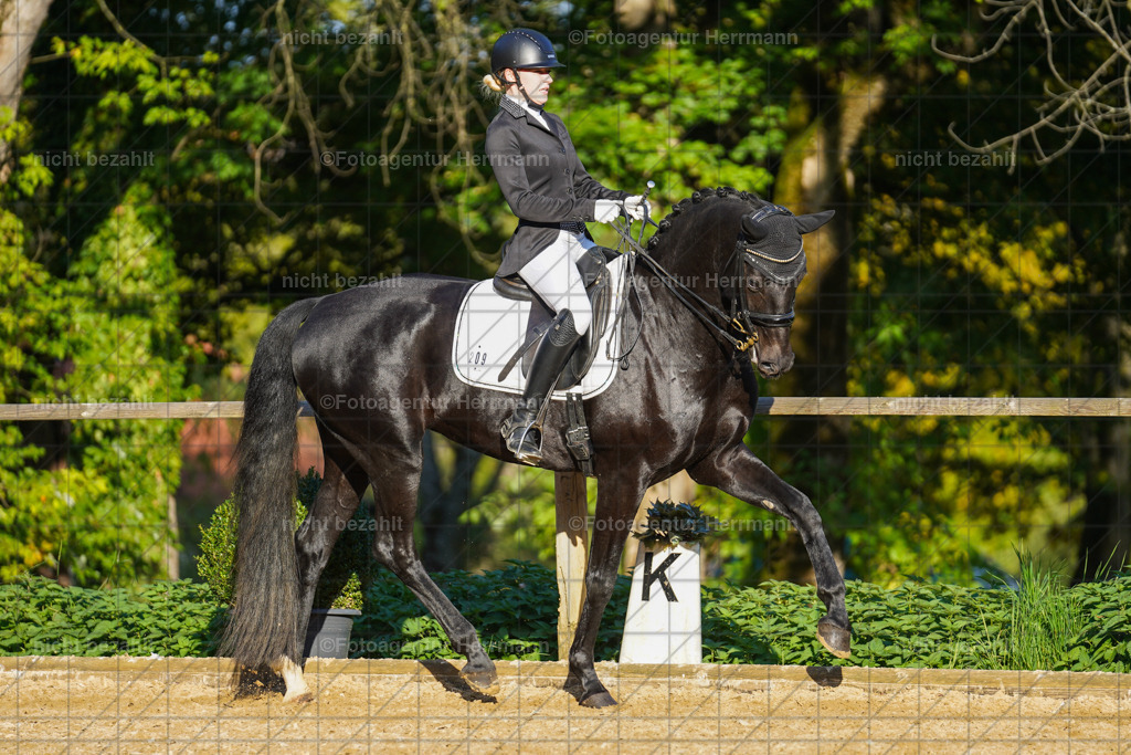 20221007-FAH00260 | Diessen am Ammersee, 2022, Dressur- und Springturnier, Reitsportbilder, Turnierfotografen Bayern, Pferdefotografen, Fotoagentur Herrmann, Turnierbilder