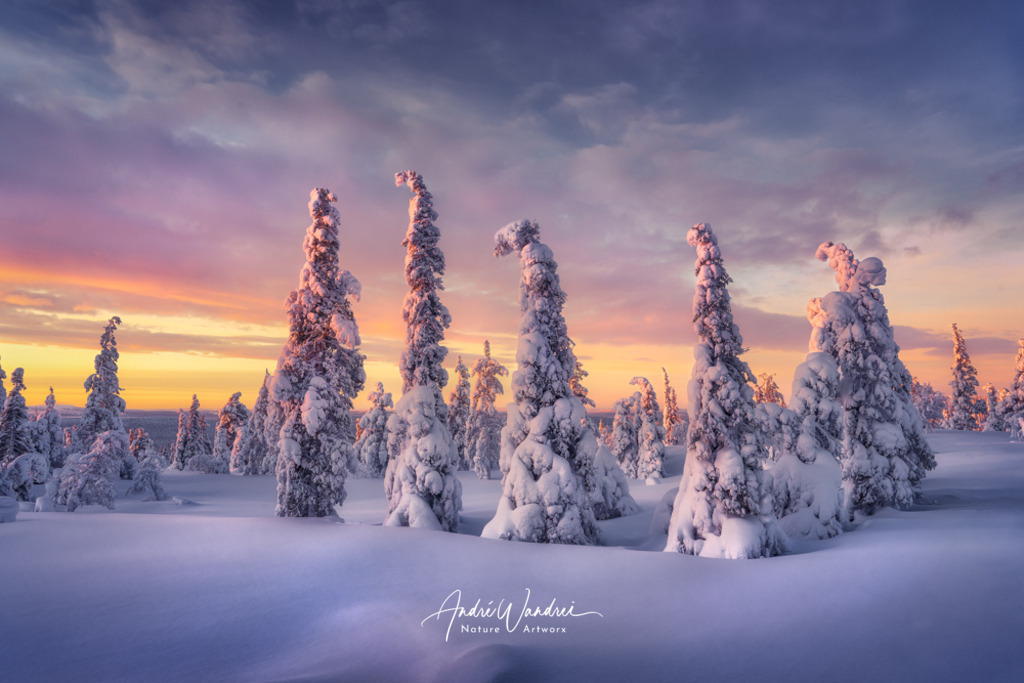 Wesen aus Eis und Schnee | Andre Wandrei - Nature Artworx - Realisiert mit Pictrs.com