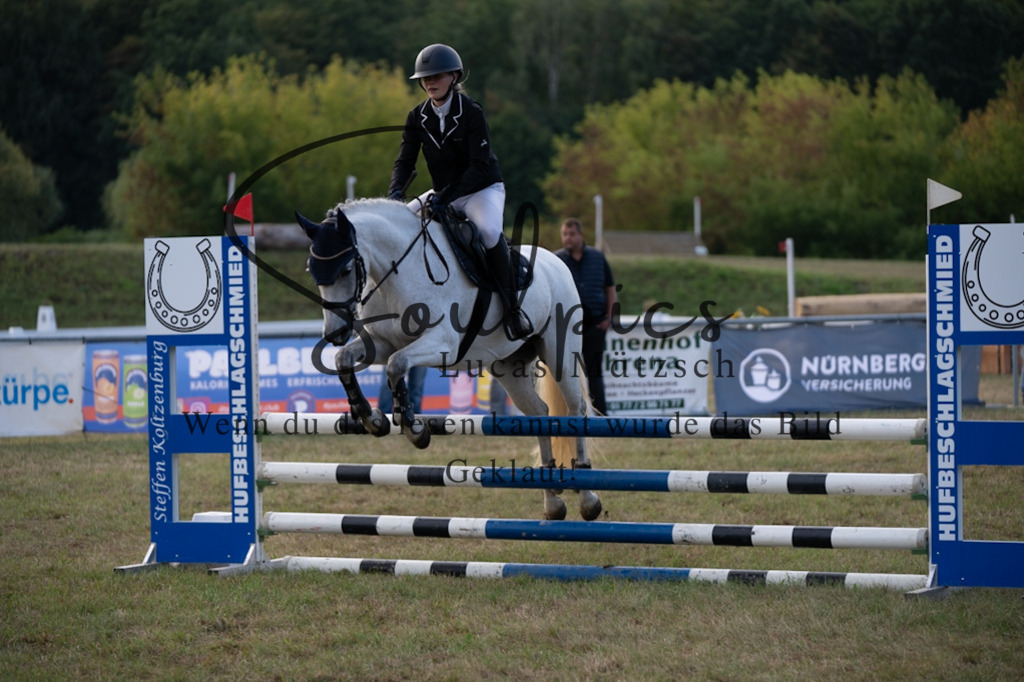 A7V07990 | Pferdefotograf