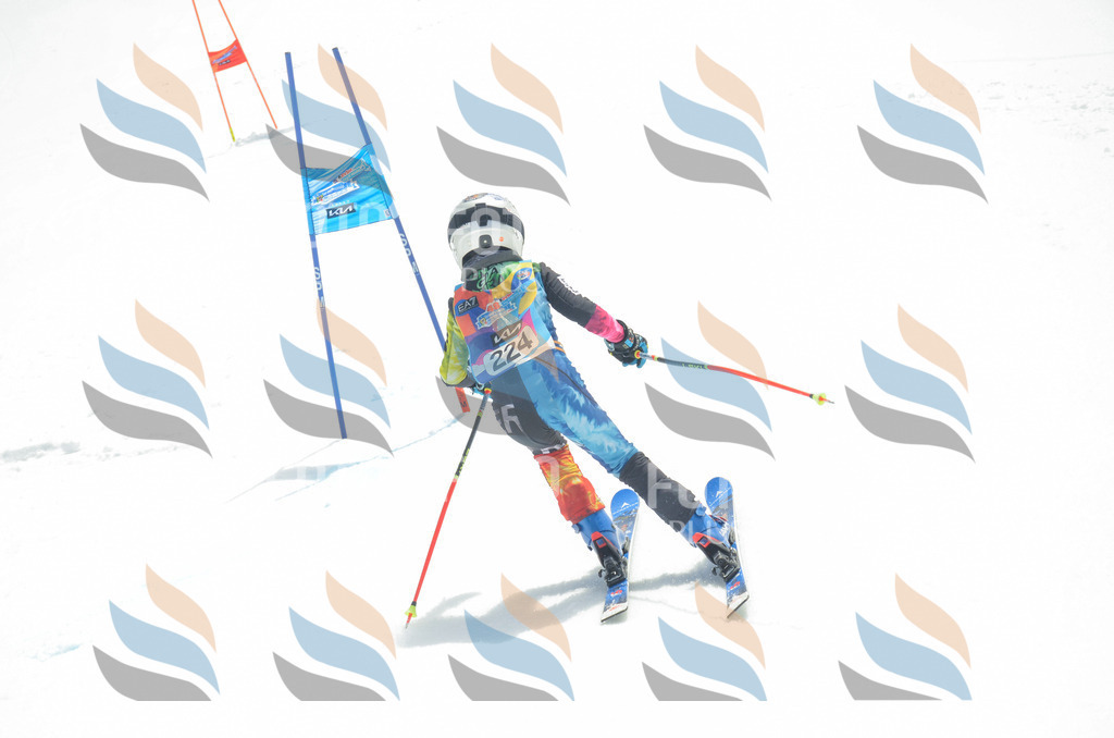 _ELE7224 | holidayphoto