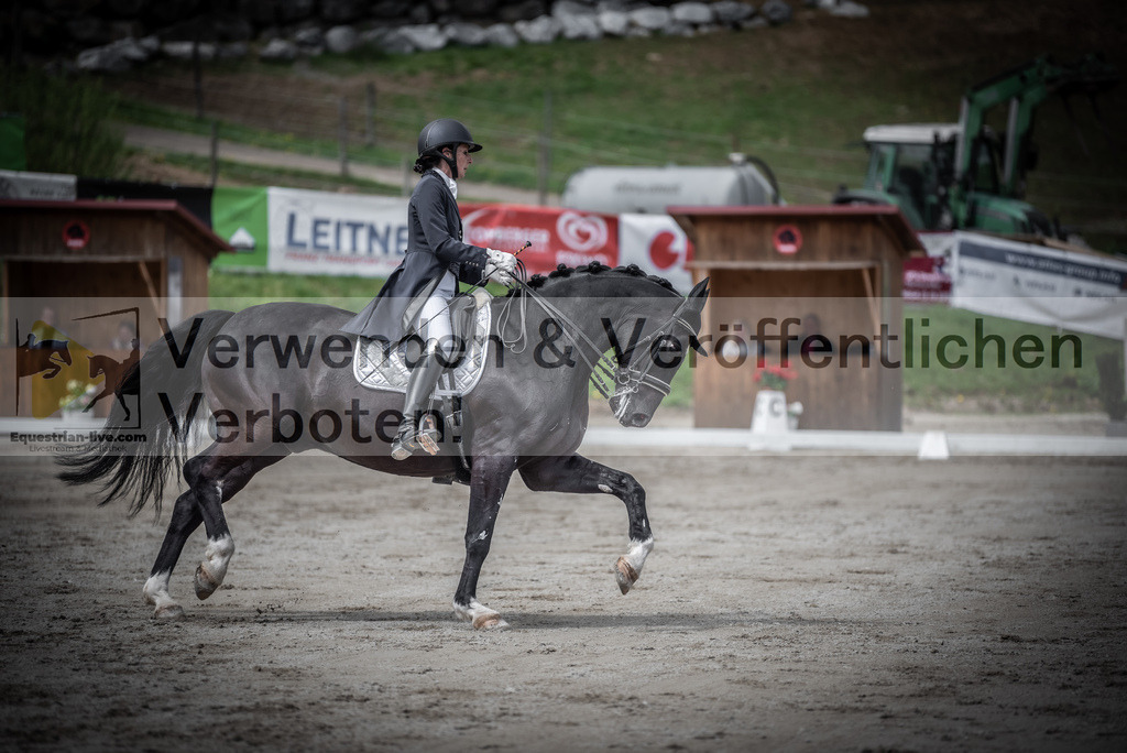 DSC_2712 | equestrian-live-com