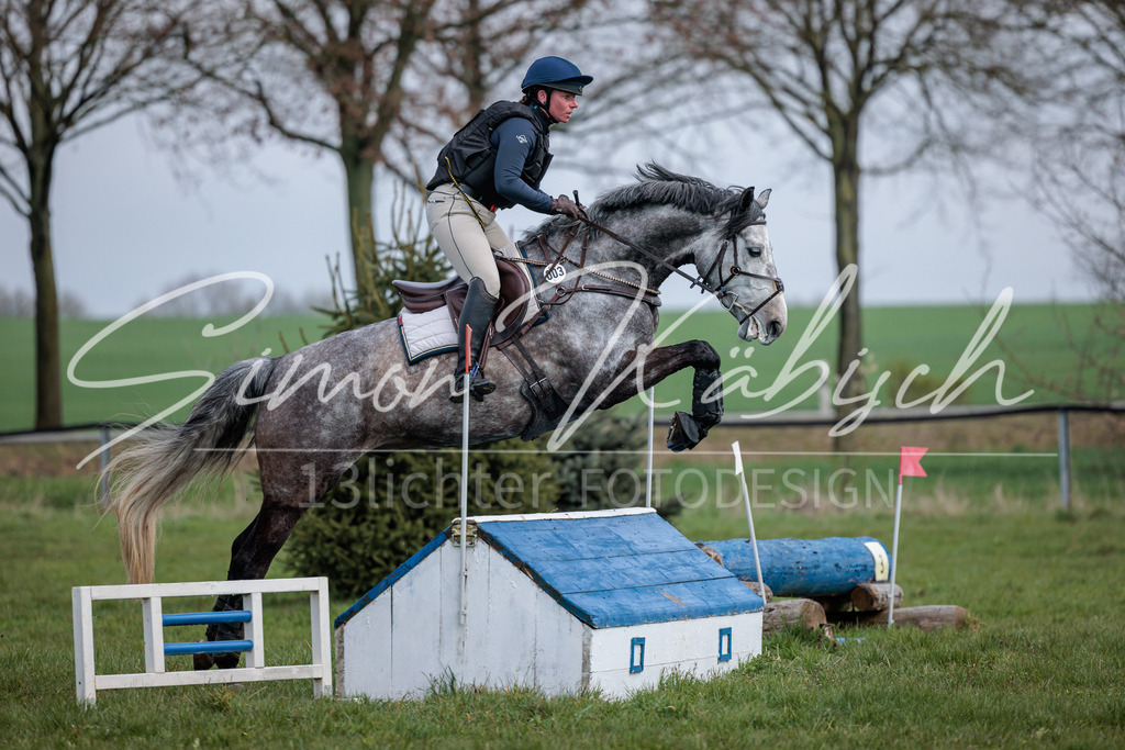 20260329-_3LI4244 | Tierfotografie Pferde, Hunde, Katzen, Haustiere.
Turnierfotografie Reitturniere, Reiten, Springreiten, Dressur in Hanau, dem Main-Kinzig-Kreis und dem Rhein-Main- Gebiet um Frankfurt