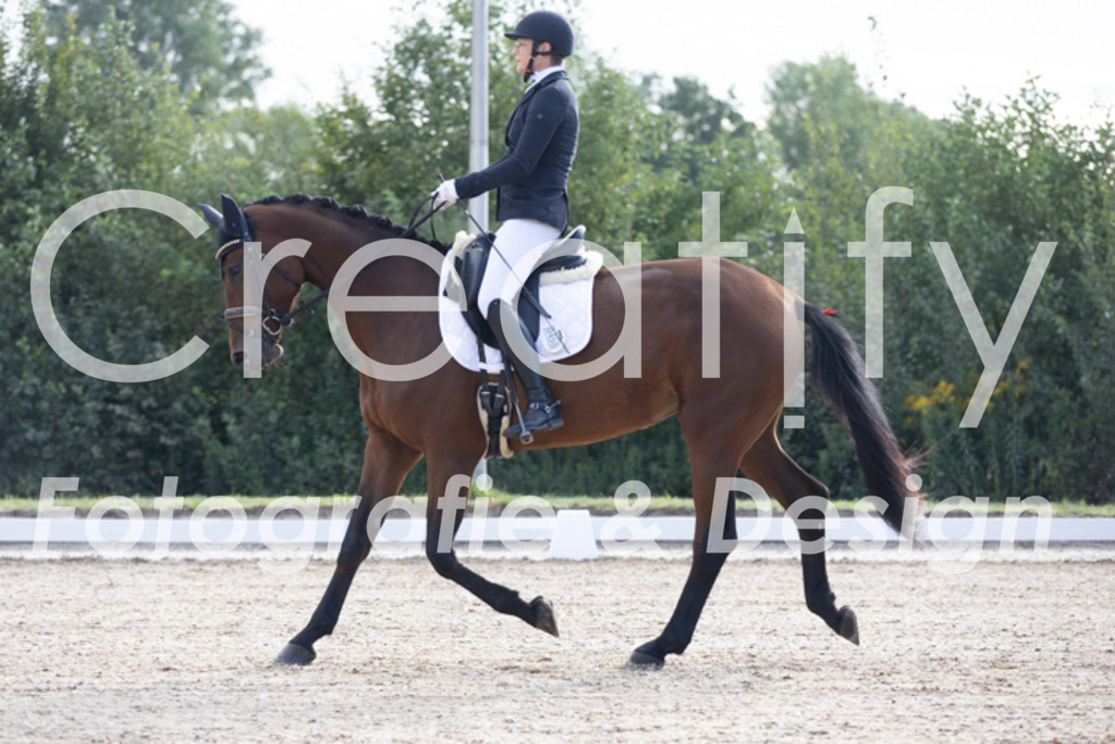 IMG_9937 | Creatify Fotografie