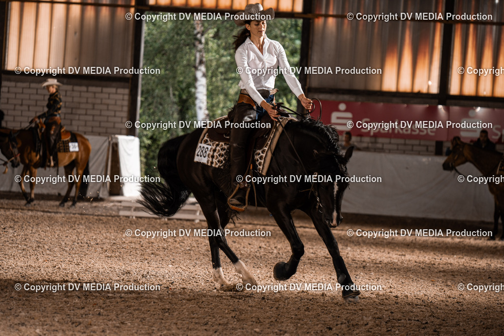 ZH300241 | dv-media-shop - Realisiert mit Pictrs.com