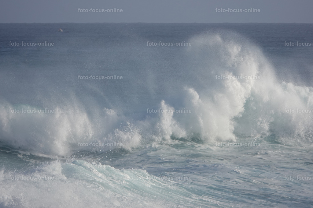 Wild Waves | Wild Waves Atlantic