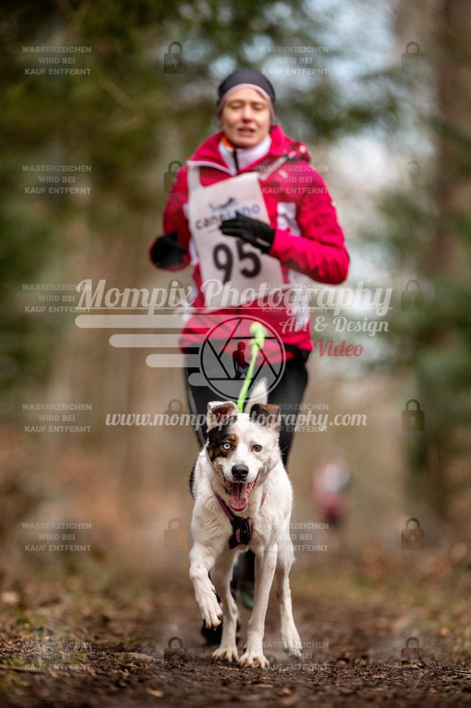 Reiat2023_SAM_CaniXRun_8km_W-16 | PayLife