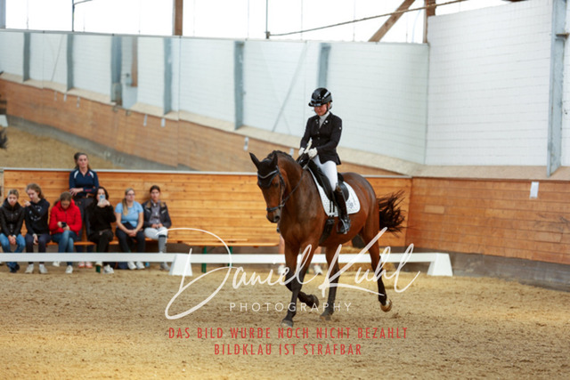 _62_7149 | Turniersportfotografie; Pferdefotografie; Dressurfotografie