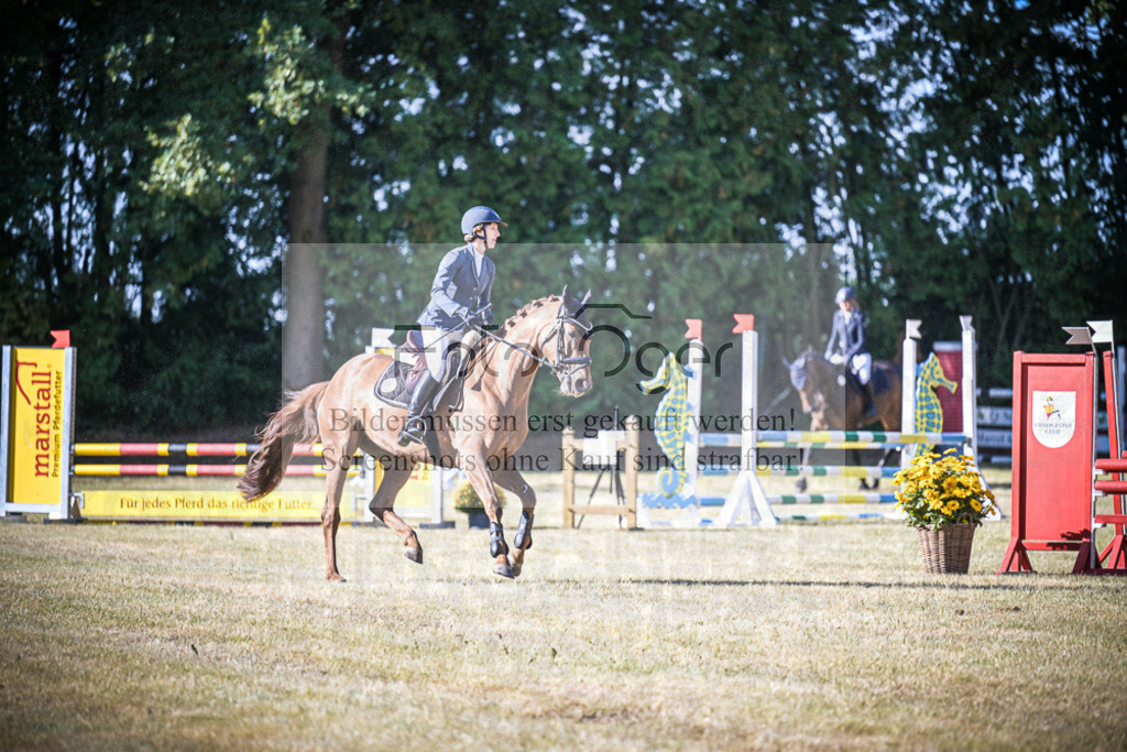 DOS_0272 | Entdecke hochwertige Reitturnierfotos von Foto Oger. Professionell, emotional und authentisch – jetzt Lieblingsmomente im Shop bestellen.Deutschlandweite Turnierfotografie. - Realisiert mit Pictrs.com
