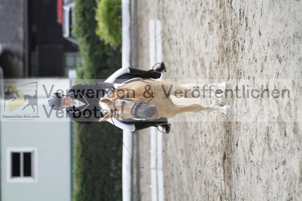 _MG_1049 | equestrian-live-com