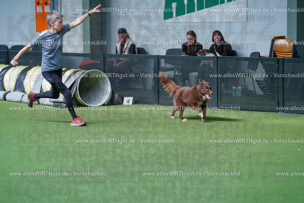 @allesWIRTHgut_Tierfotografie - www.allesWIRTHgut.de - 2604261519-7R505183 | Professionelle Tierfotografie in Mönchengladbach von Daniel Wirth (allesWIRTHgut). Liebevolle & natürliche Bilder von Hunden & Katzen für unvergessliche Erinnerungen.