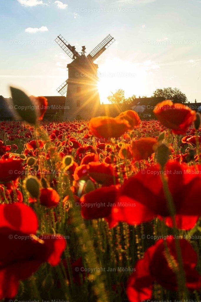 _M5D2913 | Leipzig Wandbilder Drucke Prints Leinwand Stadtmotive Leipzig Fotosdruck Kunstdrucke Bilder Leipzig Stadtansichten Acrylglasbilder Leipzig Wanddeko Fine Art Prints Wandbilder Büro Leipzig Bilder Praxis Zuhause Bilderdruck Poster Posterlounge Kunstdrucke - Realisiert mit Pictrs.com