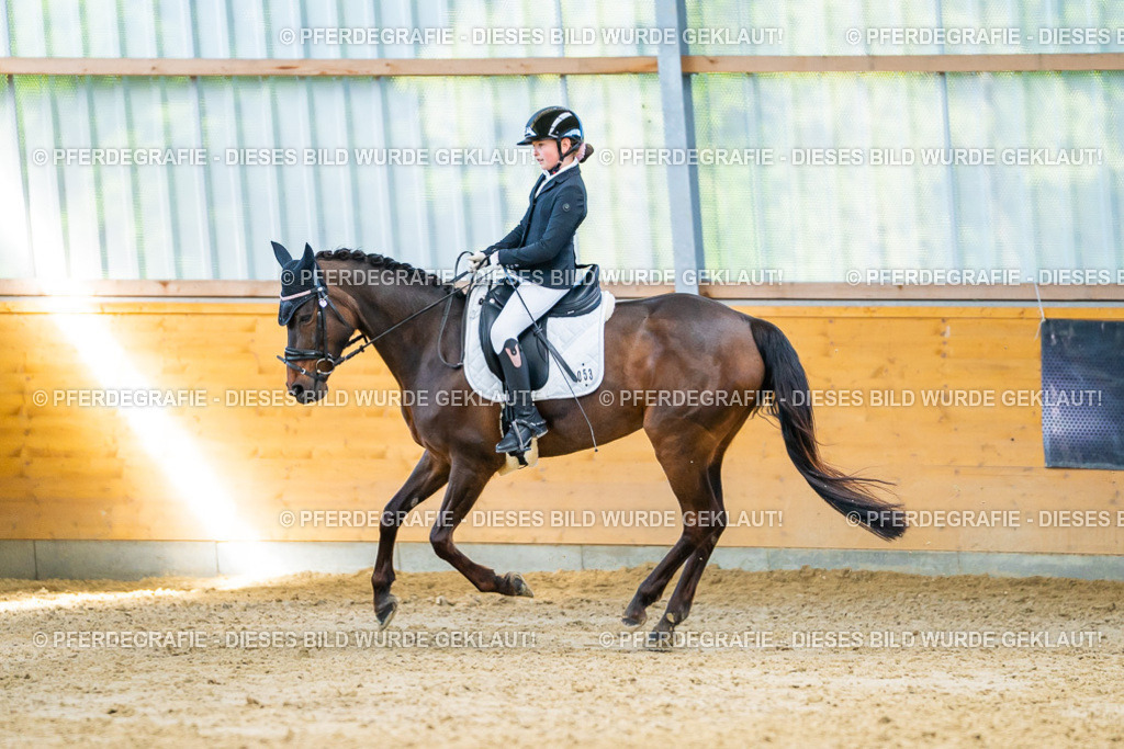 DSC07318 | Pferdegrafie