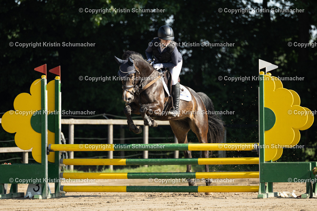 Prf. 21-8 | Kristin Schumacher Photography