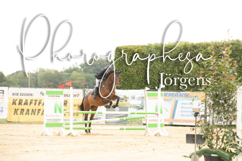 IMG_6554 | photographesa-joergens - Realisiert mit Pictrs.com