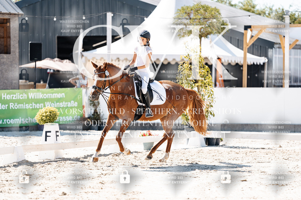 CK902545 | Turnierfotografie Pferdefotografie Trier Rheinland-Pfalz Pferdesport Reitsport Tierfotografie Sportfotografie Pferdevideo Pferdevideografie Equestrianvideography equestrianphotography  - Realisiert mit Pictrs.com