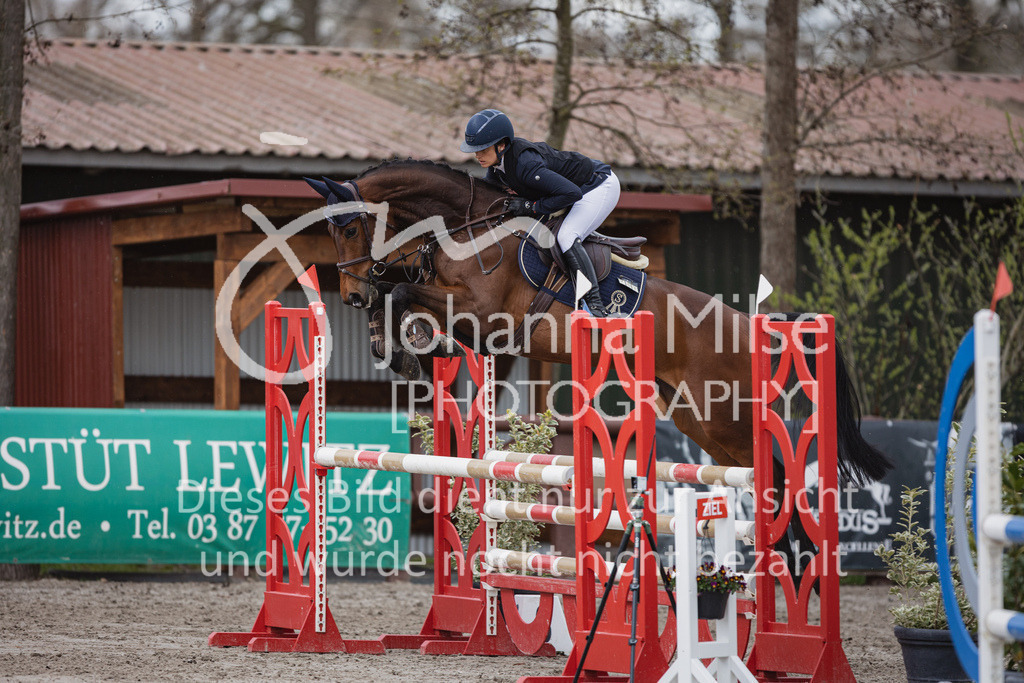 230411_Mühlen_03SprPf-L-375 | Deine schönsten Turniermomente als professionelle Fotos! Entdecke hochwertige Pferdesport-Fotografie im Online-Shop. Jetzt Fotos finden & bestellen!