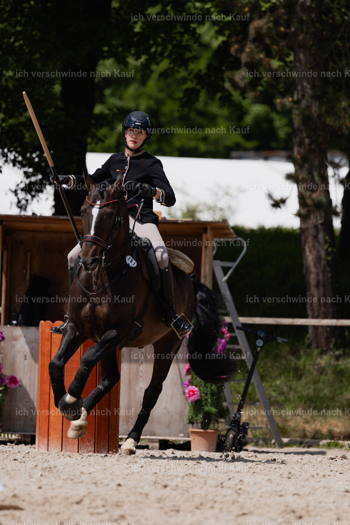 PI26_SP_StoibphotographyC2_C3498.CR3 | working equitationturnier fotograf videograf stoibphotography marixx film working equitation deutschland reitsport turnierfotografie eventfotografie equestrian events