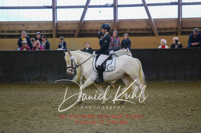 IMG_1663 | Turniersportfotografie; Pferdefotografie; Dressurfotografie