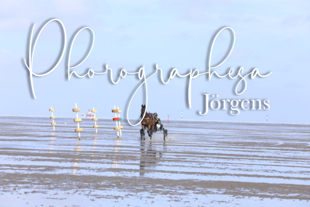 IMG_8045 | photographesa-joergens - Realisiert mit Pictrs.com