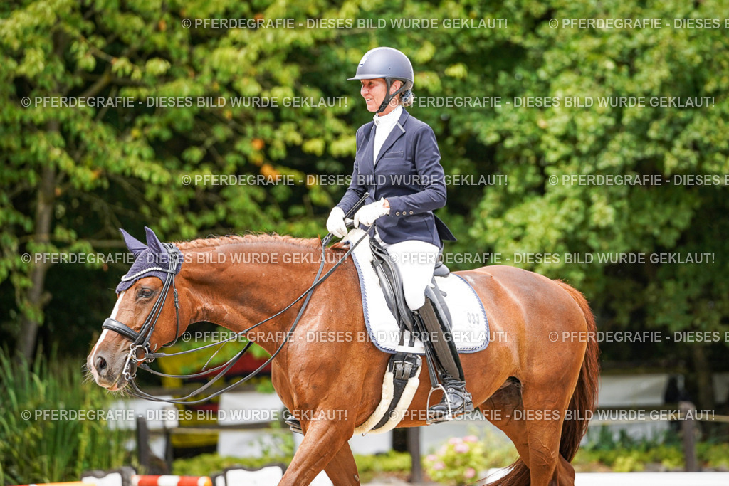 DSC05225 | Pferdegrafie