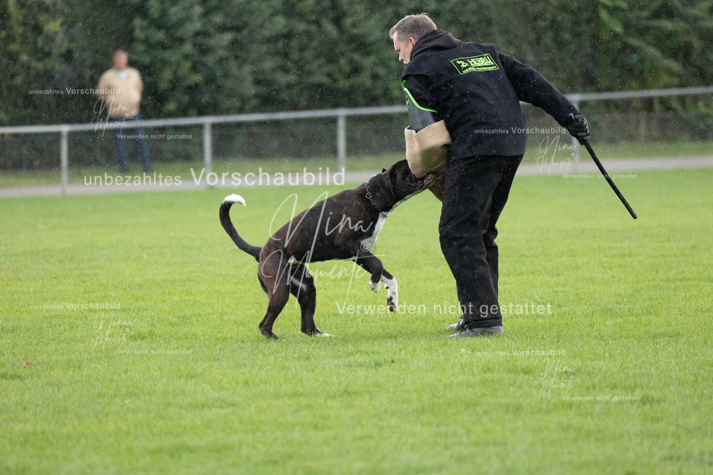 _16A7158 | Einzigartige Fotos von Hunden & Menschen –Actionfotos, Portraits, Vereinsaufnahmen & Paarshootings – authentisch, lebendig & mit Herz.
