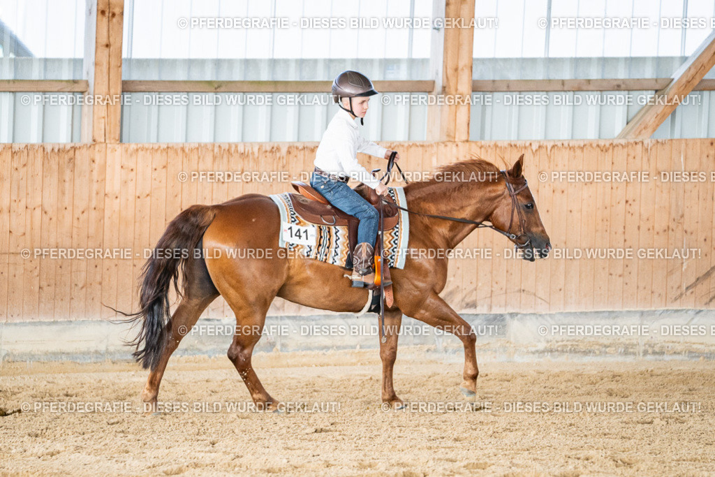 DSC09054 | Pferdegrafie