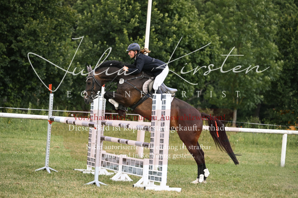 DSC_0877 | Pferde- und Turnierfotografie in Westsachsen. Pferdeportraits, Auftragszeichnungen und intuitive Kunst.