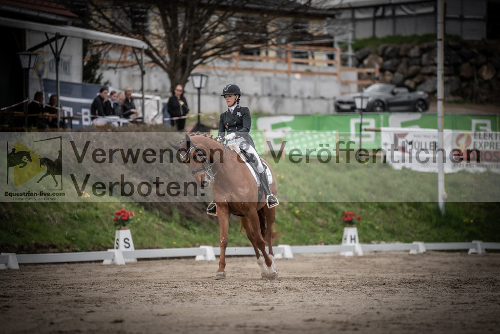 DSC_3061 | equestrian-live-com