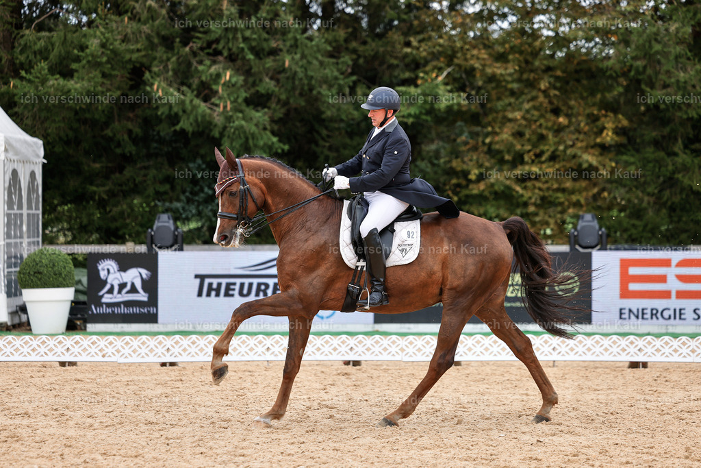 11-092-Dressur S___-Marixx-1609 | working equitationturnier fotograf videograf stoibphotography marixx film working equitation deutschland reitsport turnierfotografie eventfotografie equestrian events