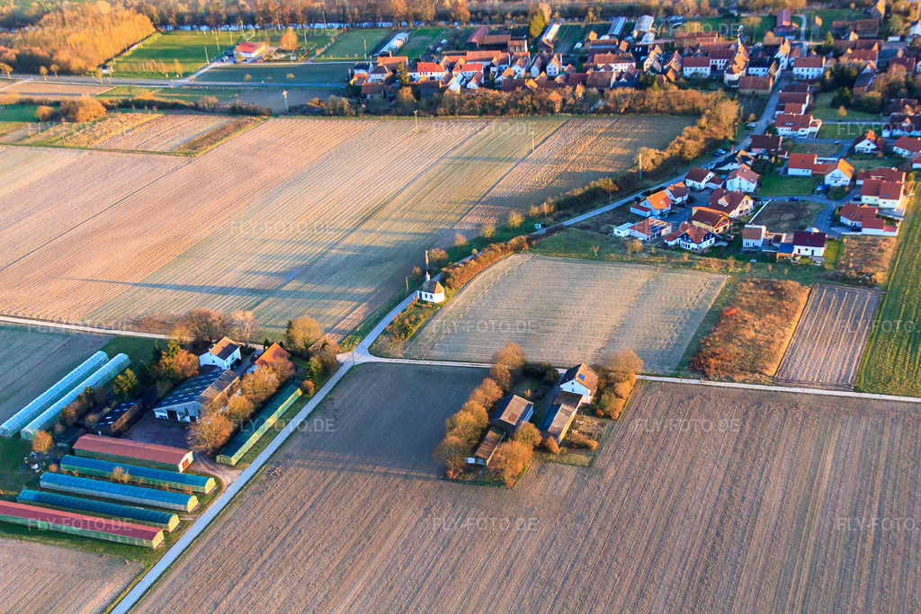Luftbild: Buchenhof in Herxheimweyher im Bundesland Rheinland-Pfalz in Deutschland. – Foto: IMG_62286.jpg vom 23.02.2014 durch Werner Riehm/FLY-FOTO.de – Auflösung des Originals: 4752 x 3168 px